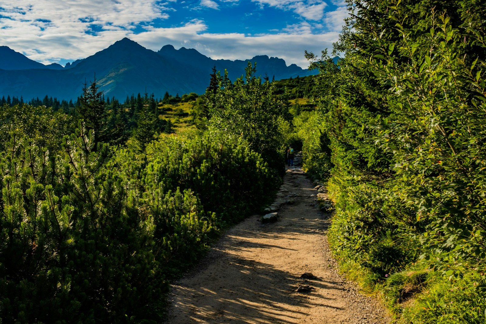 Mountain trail adventure